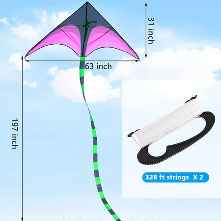 Prairie Triangle Kite Long Ribbon Tail Huge Flyer Easy Fly Kites for Teens Adults Outdoor Activities 2 Pieces 63 Inch Large Colorful Rainbow Delta Beach Kites with 2 Pieces 328 ft Kite String 